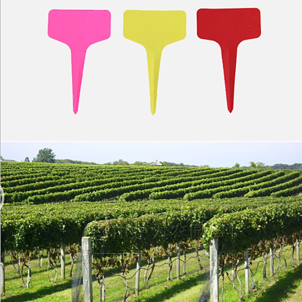 100 pièces jardinage étiquettes pépinière bonsaï étiquette plastique plante Type T étiquette plante Pot planteur légume étiquette étiquettes plante marqueur # LJC