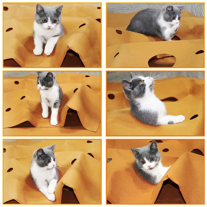Cat Playing Mat Training Pet Activity Play Mats Collapsible Pets Rug Scratch Resistant Toys Bite Pad