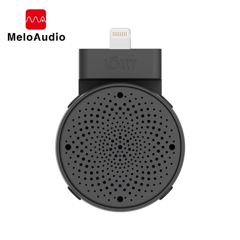 3D Stereo Mikrofon Für Telefon iOS 9 Zu 12 Geräte iPhone iPod Aufnahme Karaoke Mikrofon Drahtlose Professionelle Kondensator Mic