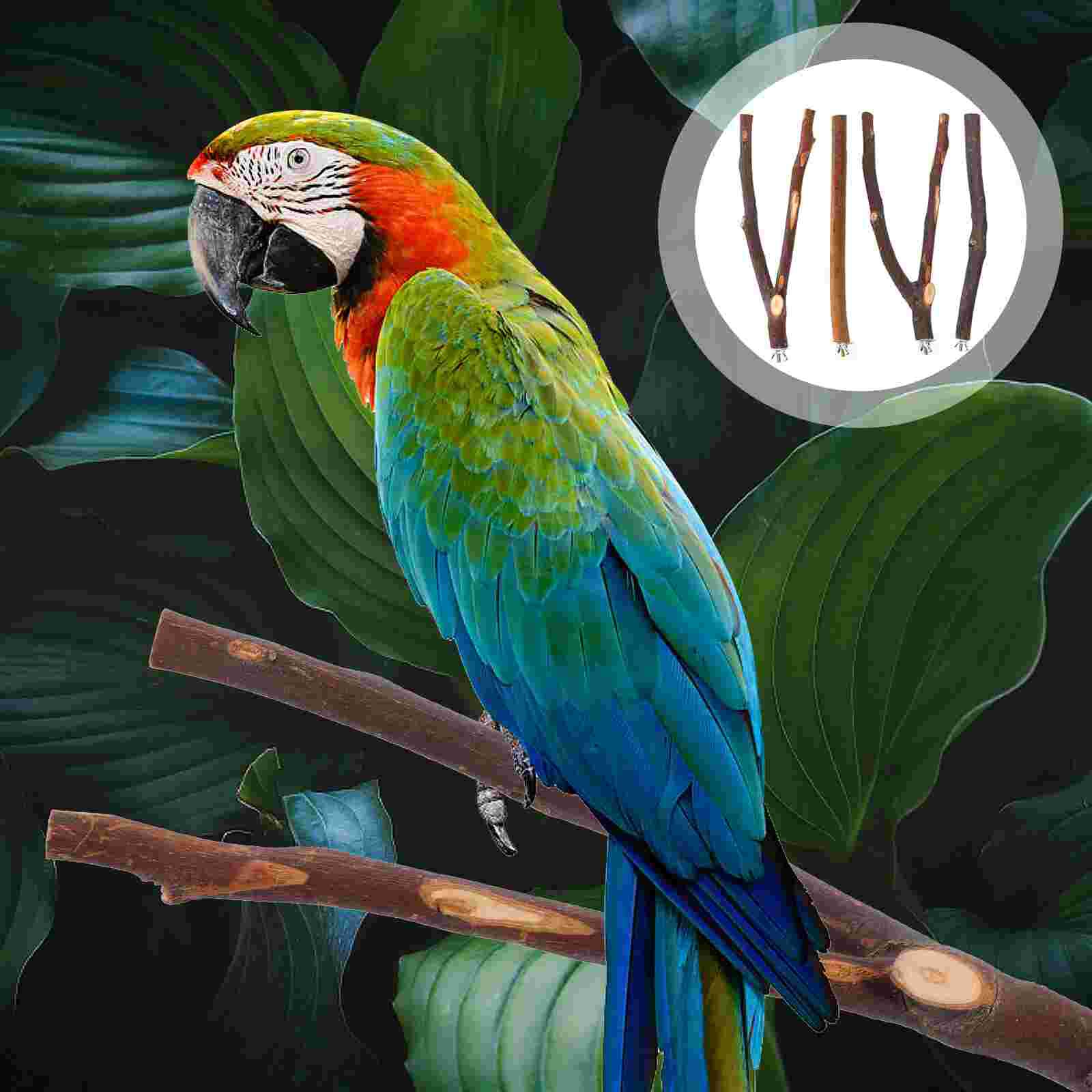 4pcs Bird Perch Pole Parakeet Standing Branch Parrot Climbing Wood Perch: Default Title