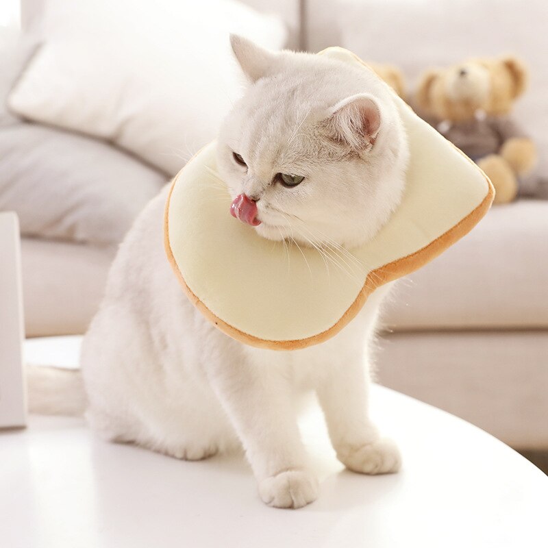 Fowecыcappello da gatto gattino accessori per cuccioli copricapo morbido forma di Toast copricapo Costume per cani collare per gatto protettivo forniture per animali domestici
