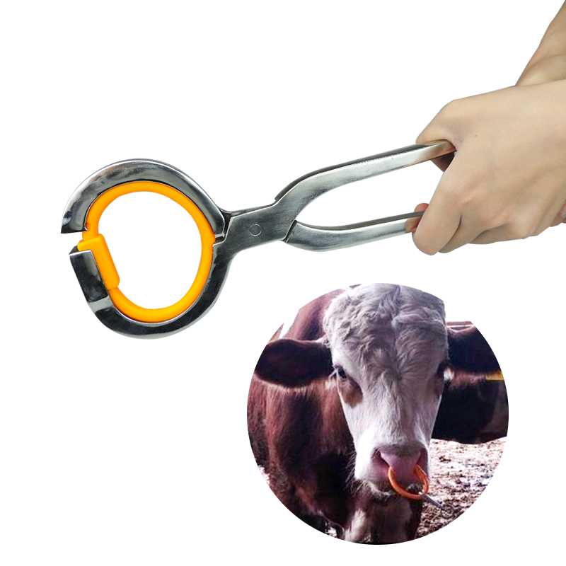 Alicates de punta de acero inoxidable para ganado, abrazadera de instalación de anillos de Nariz de vaca, caballo, herramientas de granja, 1 ud.