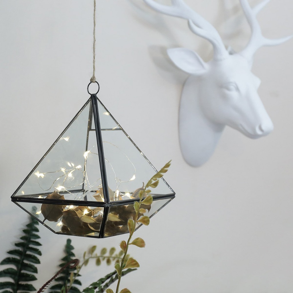 Irregular Glass Geometric Terrarium Box Tabletop Succulent Air Plant Fern Moss Pot Planter