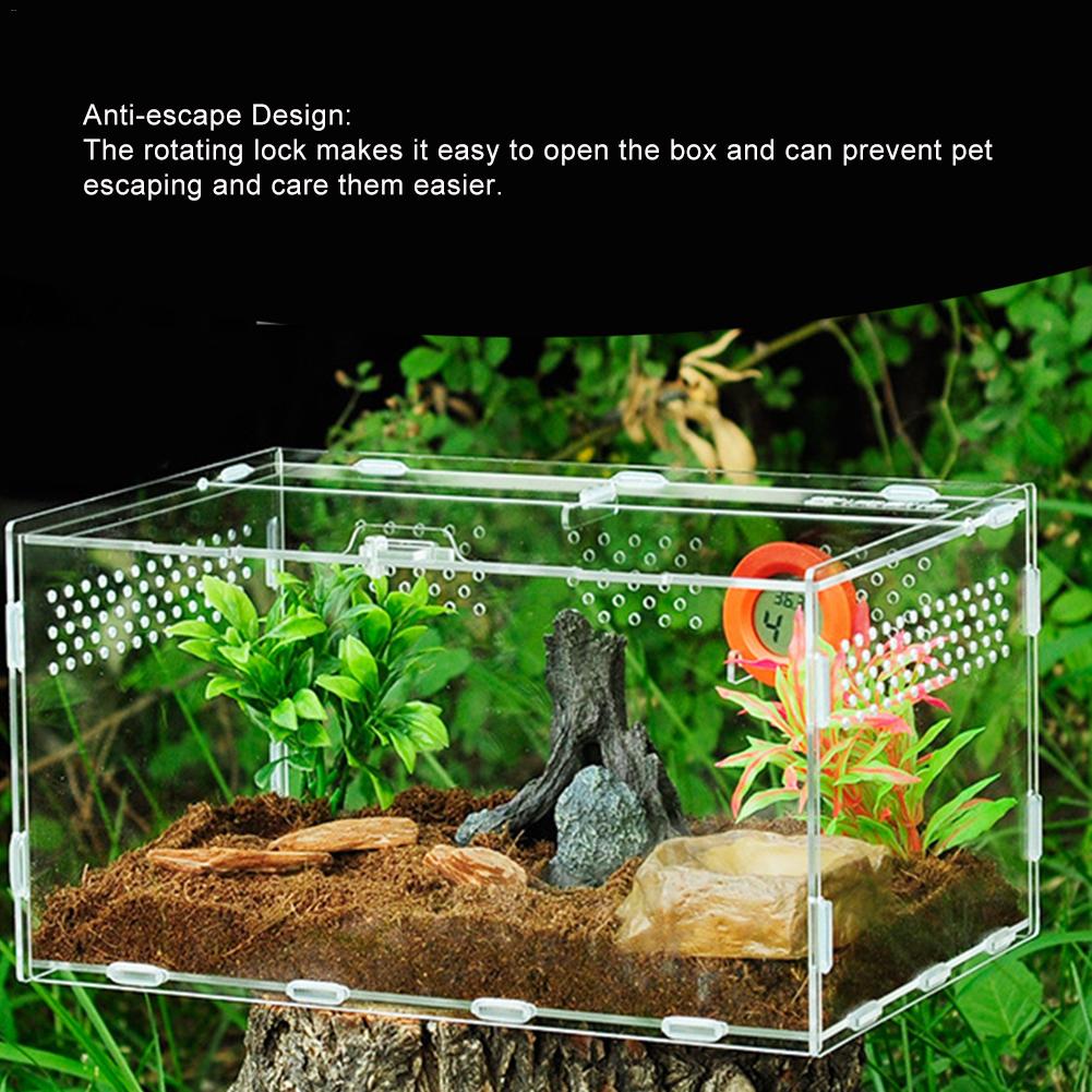 Akryl terrarium edderkop avl boks krybdyr fodring kasse til klatring kæledyr terrarium slange edderkop firben skorpion tusindben