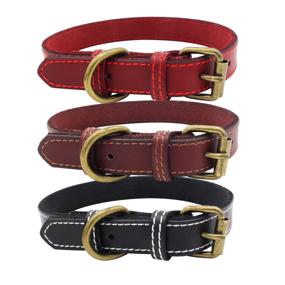 Collier en cuir véritable rembourré pour animal de compagnie, pour petits, moyens et grands chiens, Pitbull Labrador, ceinture ajustable avec boucle pour chiot