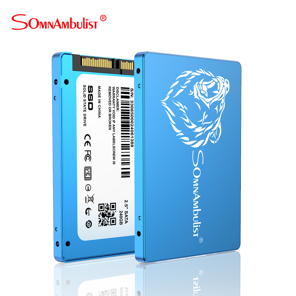 Somnambulist Metalen Grote Bruine Beer Ssd 2.5 &#39;&#39;SATA3 Hdd Ssd 120Gb Ssd 240Gb 480Gb Ssd 960gb Interne Solid State Drive Laptop Des