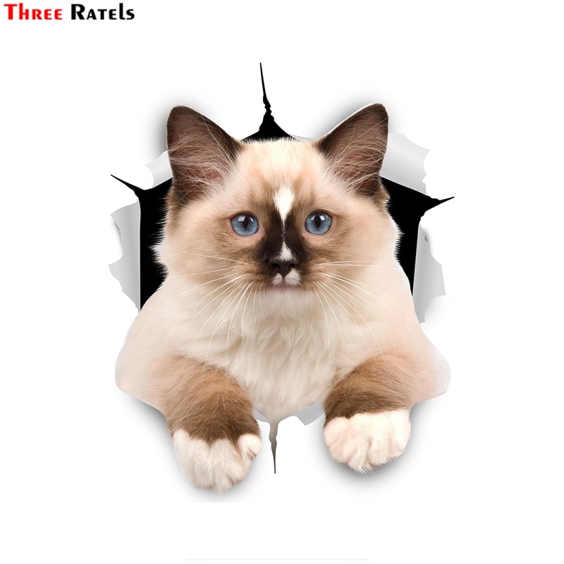 Drie Ratels 3D Kat Stickers Bruin & Wit Ragdoll Cat Sticker Op Muur Koelkast Wc Voor Meisjes Jongens Kids