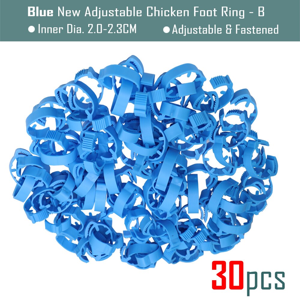 30Pcs Blank Kip Voet Ring 7 Kleuren Verstelbare Digitale Etiketten Voor Pluimvee Been Farm Identificatie Markers Tool Voor Chick eend: B-Bluex30pcs