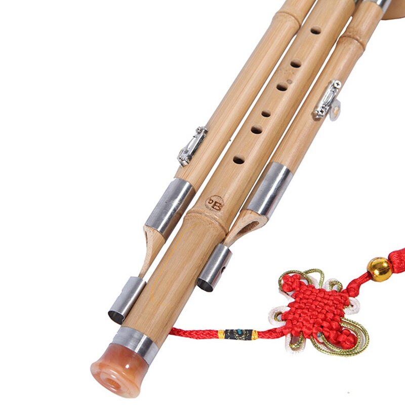 Hulusi Flute Natuurlijke Kalebas Bamboe Hulusi Student Beginners Entry C Sleutel/B Platte Kalebas Fluit Met Opbergkoffer (Color : C key