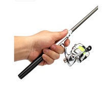 Draagbare Pocket Mini Vissen Combo Metalen Staaf + Spinning Reel Wiel Telescopische Hengel Pen Shape Opvouwbaar Met Doos