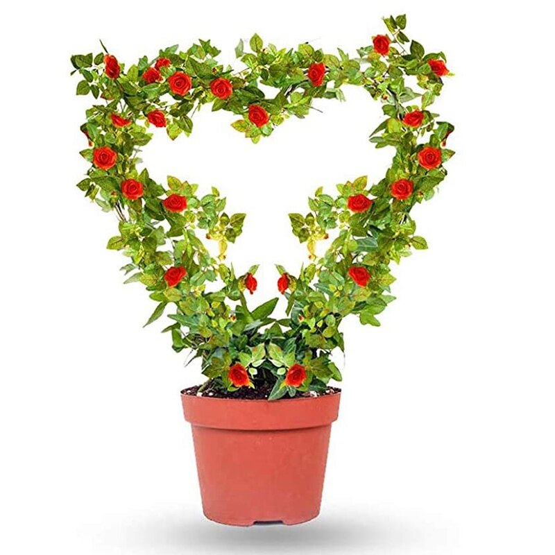 Krata ogrodowa dla rośliny pnące SupportVine roślina metalowy wspornik drut dla roślin wspinaczka uchwyt stojak wnętrz