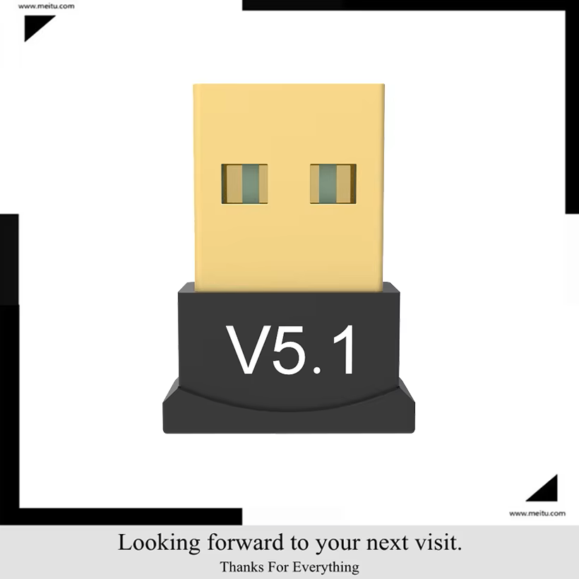 MnnWuu BT5.1 Wireless USB Bluetooth 5.1 Adapter Bluetooth Aux Bluetooth Transmitte Music Receiver Adaptador for PC Laptop: Default Title