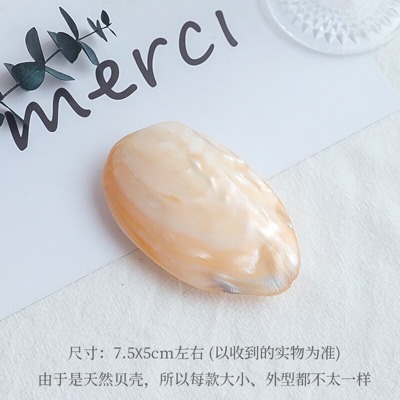 Shell decoration photography accessories photography Retro Props Birthday Party decorations props: AC311