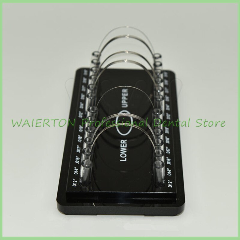 Dental Acrylic Organizer Holder for Orthodontic Rectangular Arch wires Case