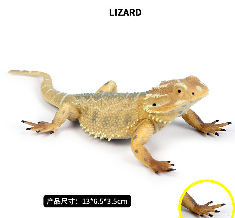 Lizard Figuur Simulatie Diermodel Collector Decor Amfibie Dier Model Hagedis Koelbloedige Reptiel Dieren Figuren