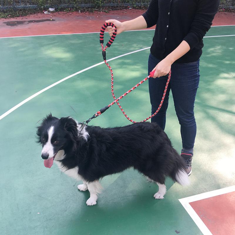 Kestävä ison koiran talutushihna kultainennoutaja keskikokoisen koiran kaulushihnat vahva heijastava lyijyköysi koiran tarvikkeet kaulus perro