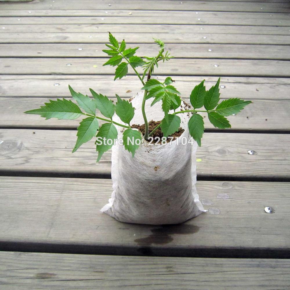 100x blomster plante grønn økologisk grønnsak frø spir frøplante spir skjæringe klon vokse potten ikke-vevd stoff posere pustende