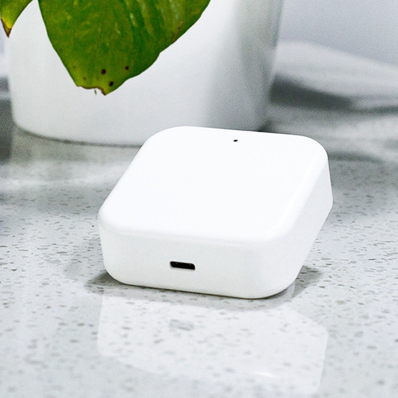 Serrure électronique intelligente, Bluetooth, wi-fi, mot de passe, empreinte digitale, pour porte, maison, pont, Hub