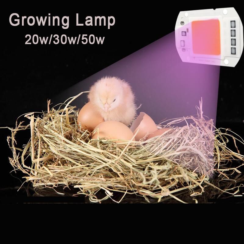 Led Grow Cob Chip Phyto Lamp Volledige Spectrum AC220V 20W 30W 50W Voor Indoor Plant/dier Groeien En Bloem Groei Fitolamp