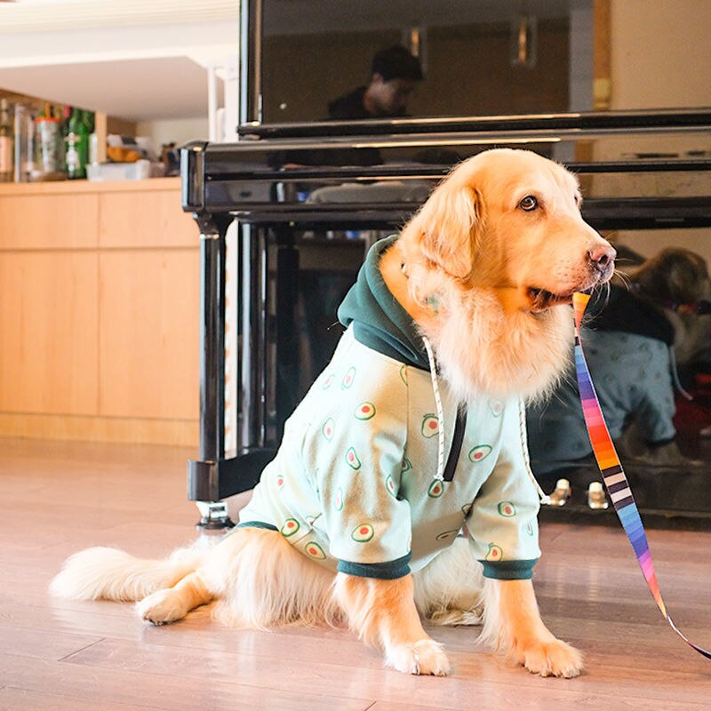 ]Large dog clothes autumn and winter clothes Labrador Golden Retriever Samoyed autumn and winter clothes: Light green avocado / 5XL 20-25kg