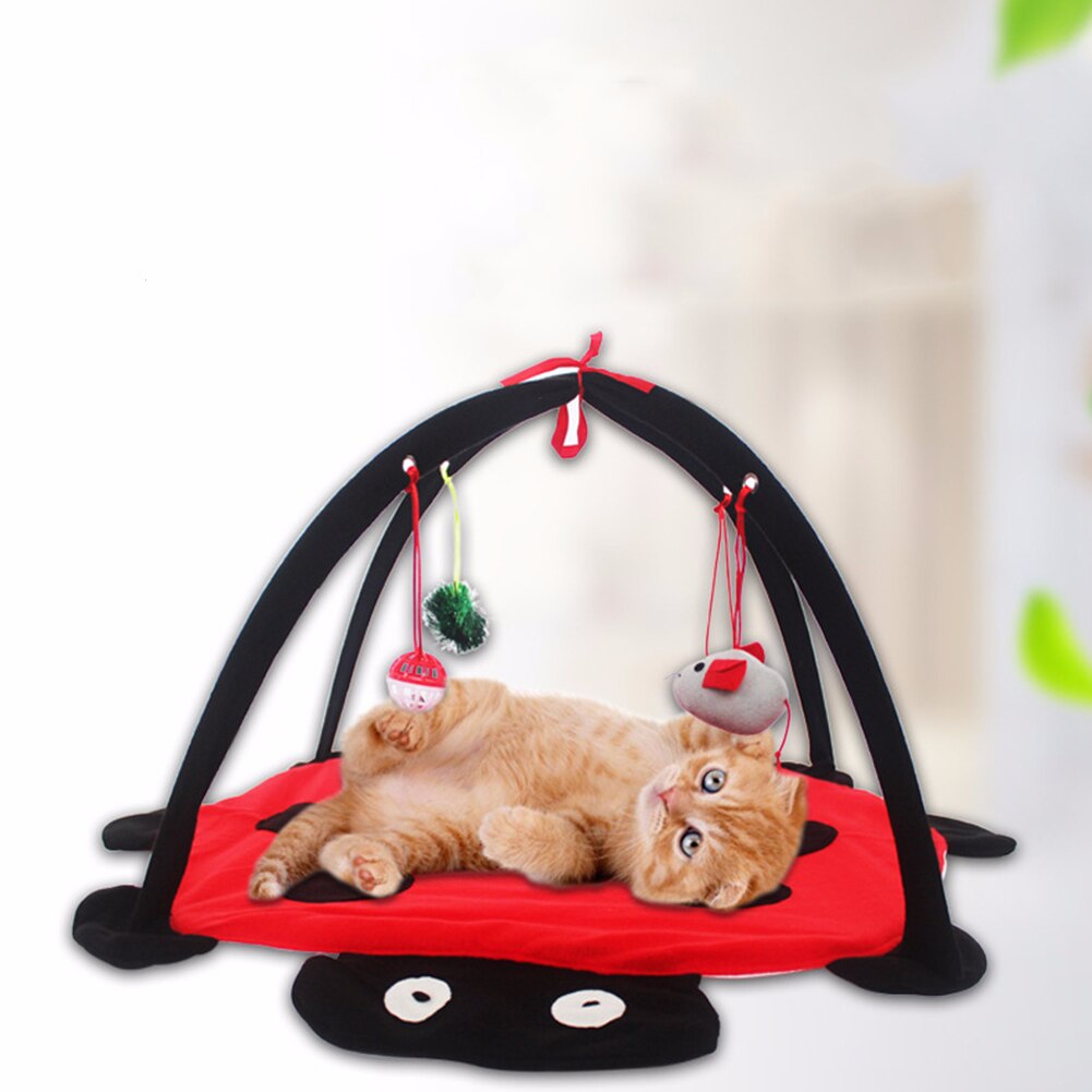 Play Foldable Shape Cat Supplies House Furniture Comfortable Hanging Funny Training Removable Pet Bed Toy