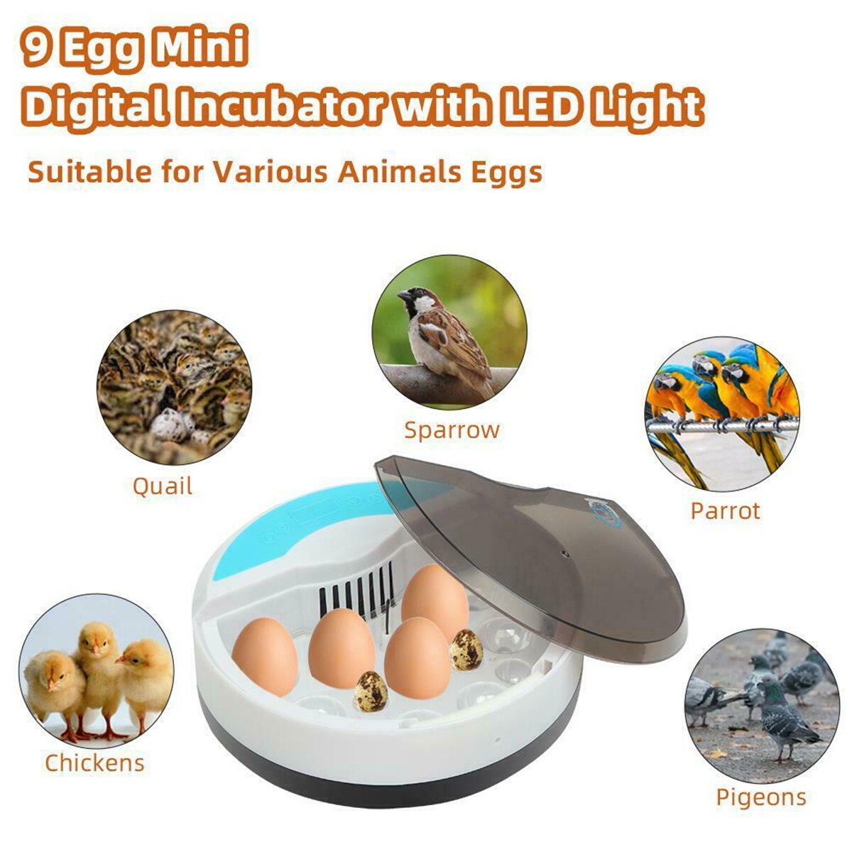 9 Egg Farm Hatchery Incubator Brooder Machine Hatchers Mini Household Chicken Automatic Eggs Incubator Bird Quail Brooder