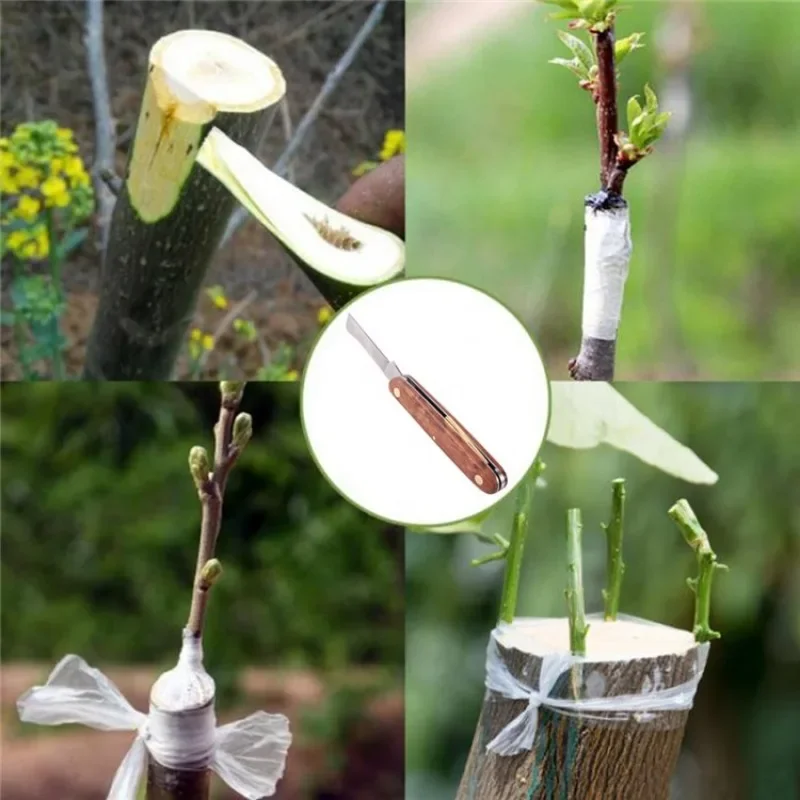 Folding Grafting Knife Plant Grafting Pruning Tools Garden Fruit Tree Cutter Stainless Steel Wooden Handle Knife