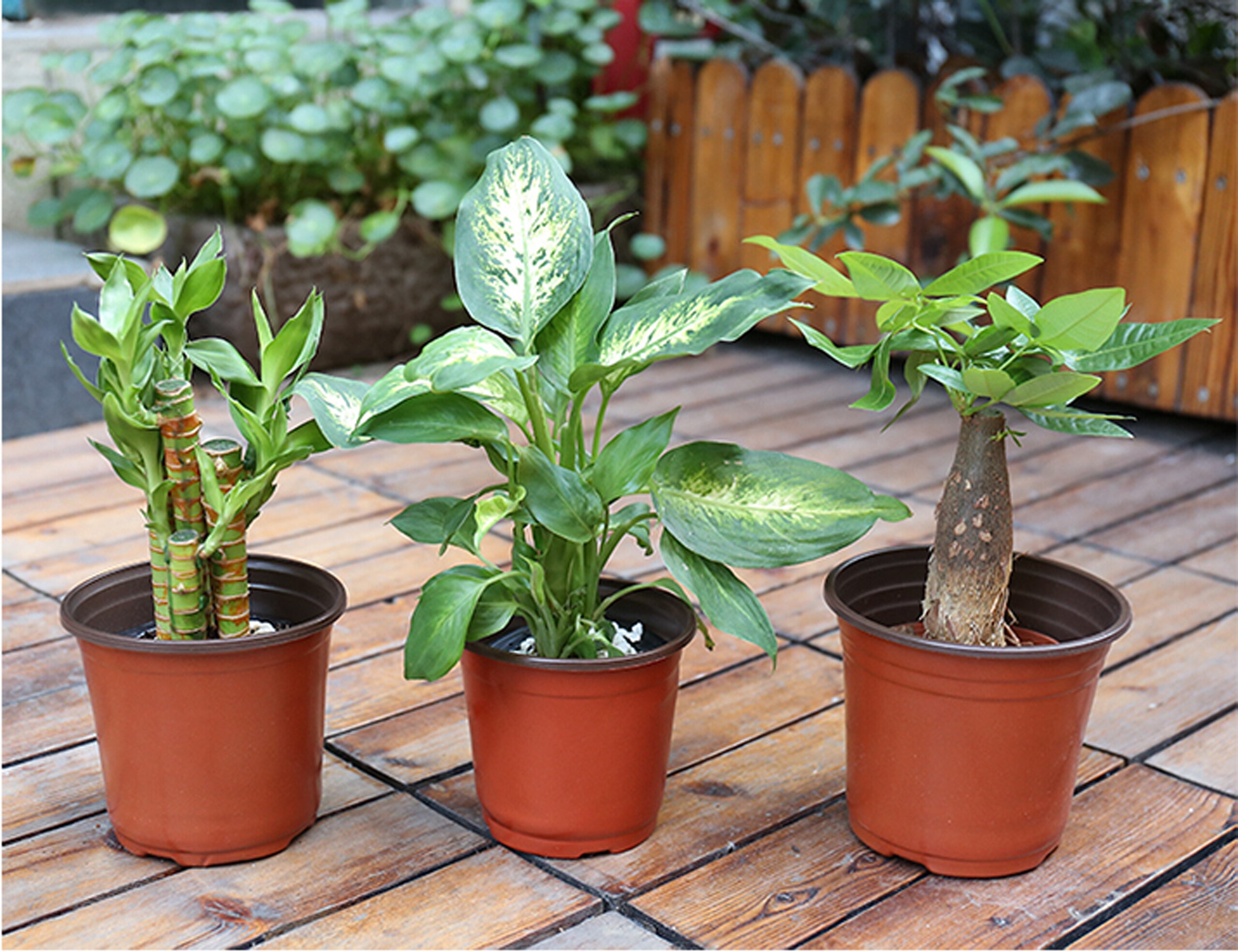 Huis Tuin Plant Pot Kwekerij Transplantatie Bloempotten Zaailingen Planter Containers Plastic Grow Box Fall Slip Lade 5 Pcs