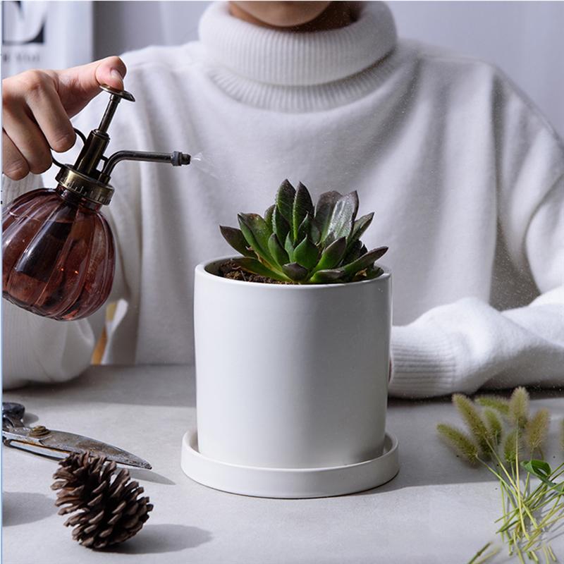 1 set mini keramische potten kleine vlezige potten bloempotten tuindecoraties buitendecoratie met bord voor thuis tuin