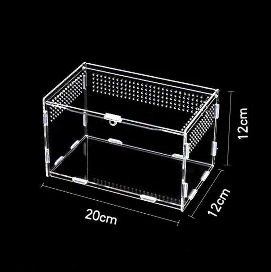 Transparent Acrylic Box Terrarium for Reptile and Amphibian Cricket Turtle Spider Snail Glass Shelter Terarium Terraria Gecko: 12 12 20