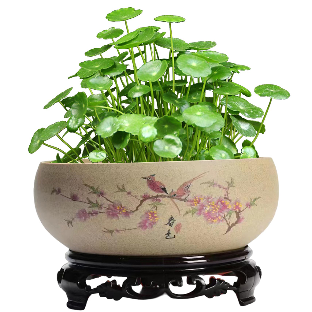 Elegante Kom Planter Decor Lotus Kommen Voor Balkon Tuin Lotus Kommen Waterpotten Voor Waterplanten Kommen Planten