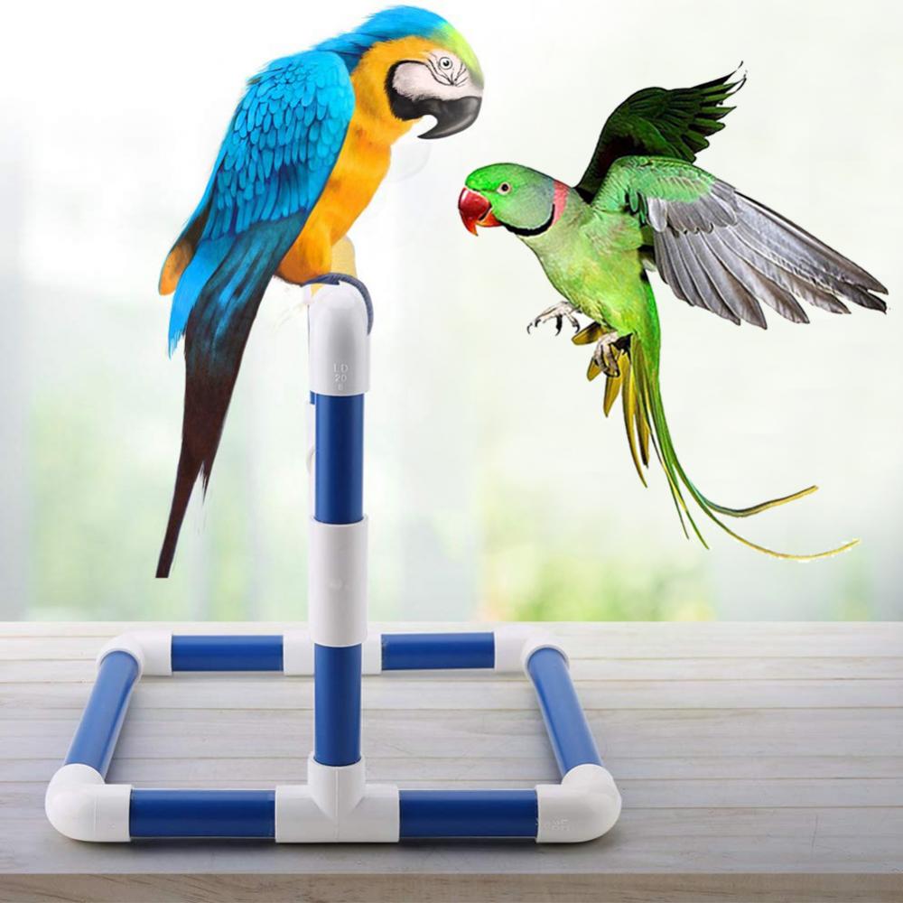 24cm Classic Pet Bird Parrot Macaw Shower Stand Pe... – Grandado