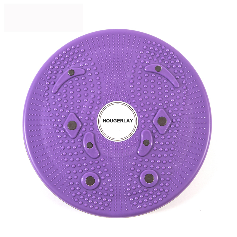 HOUGERLAY Twister plate Twist Board magnet plate for home exercise simple workout