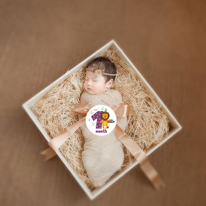 Pegatina de mes conmemorativo de Milestone, animales de dibujos animados, pegatinas mensuales para bebé, fotografía, tarjeta conmemorativa, número, accesorios para fotos M76C