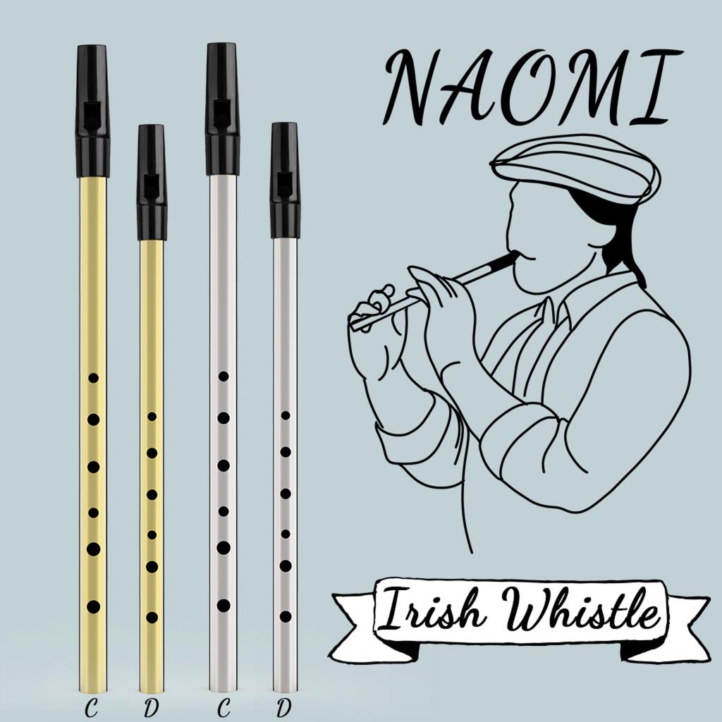 Irish Whistle Flute D C Key 6 Hole Tin Whistle Nickel Brass