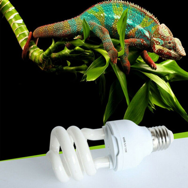 Lampe UV Reptile Pet 13/26W | Éclairage d'habitat, ampoule UVB 5.0/10.0 pour Terrarium de Lizard