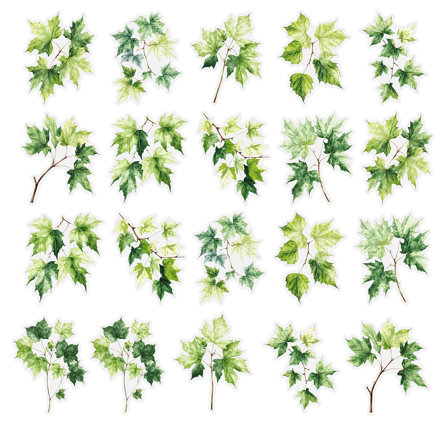 20 Stück PET Botanical Leaf Aufkleber Junk Journaling Aufkleber DIY Scrapbooking Zubehör, selbstklebend für Tagebücher Scrapbooking: WEISS