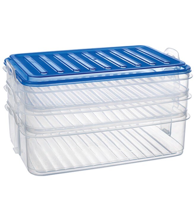 Plastic 3 Layers, 3 Reservoirs, Fruit, Vegetable, Frozen Food, Storage Container, Box Refrigerator Kitchen Organizer, Bpa Free