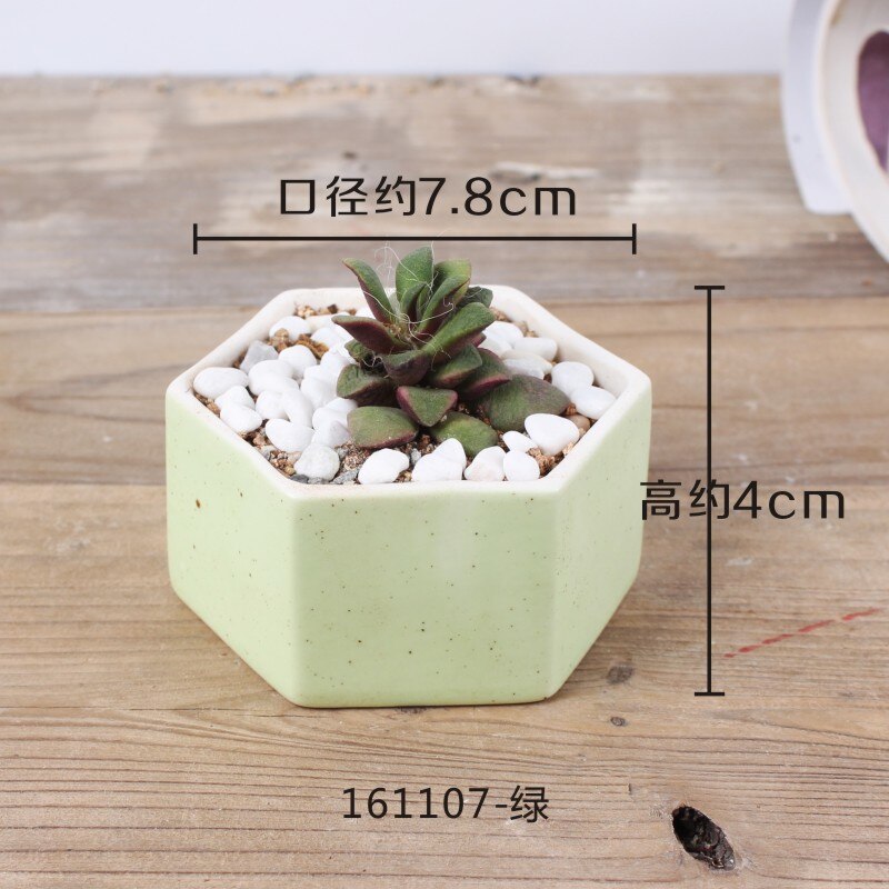 Maceta de cerámica pequeña y fresca con flor carnosa de JQWORV, macarrones arcoíris, macetero de dedo, plantación verde, adornos de escritorio, maceta: 4