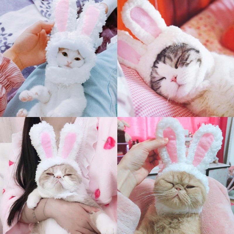 Costume tête de lapin pour chat, ours en peluche pour chien, couvre-chef Garfield, oreilles de lapin, chapeau pour animaux de compagnie de célébrité d'internet