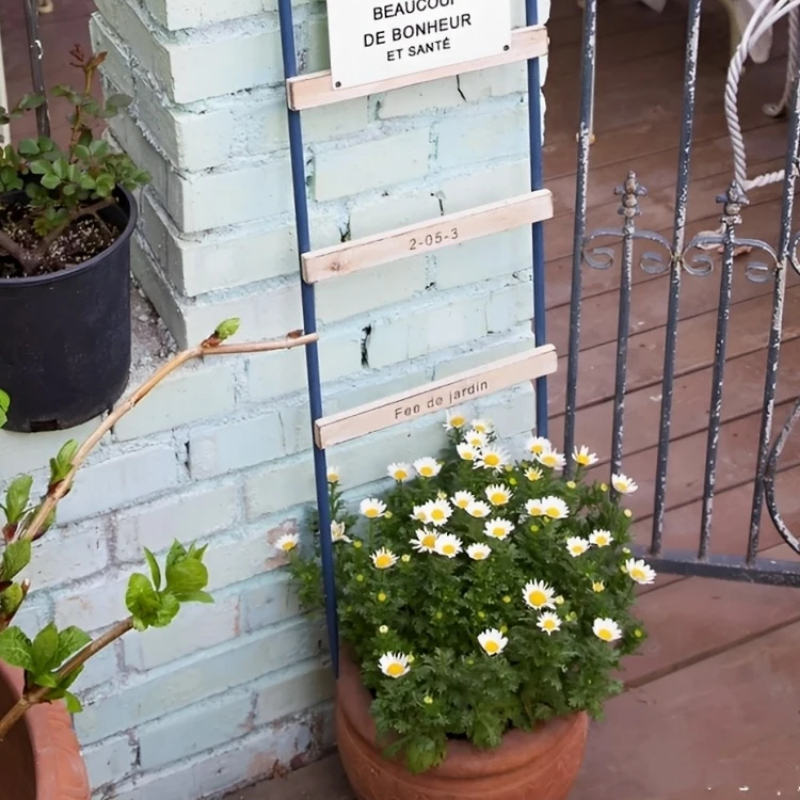Support en bois et rotin pour plantes grimpantes, échelle décorative pour fleurs de balcon, présentoir de jardin naturel, T1