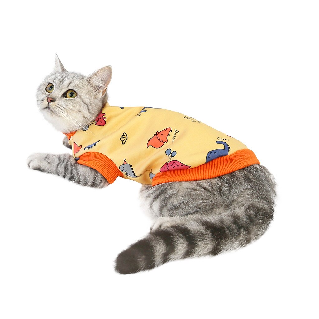 Pet clothing autumn and winter dog clothing winter cat milk silk sweater