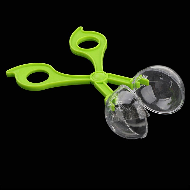 Nature Exploration Kit Kids Plant Insect Study Tool - Plastic Scissor Clamp Tweezers Inset Round Head Scissors Clamp Toy