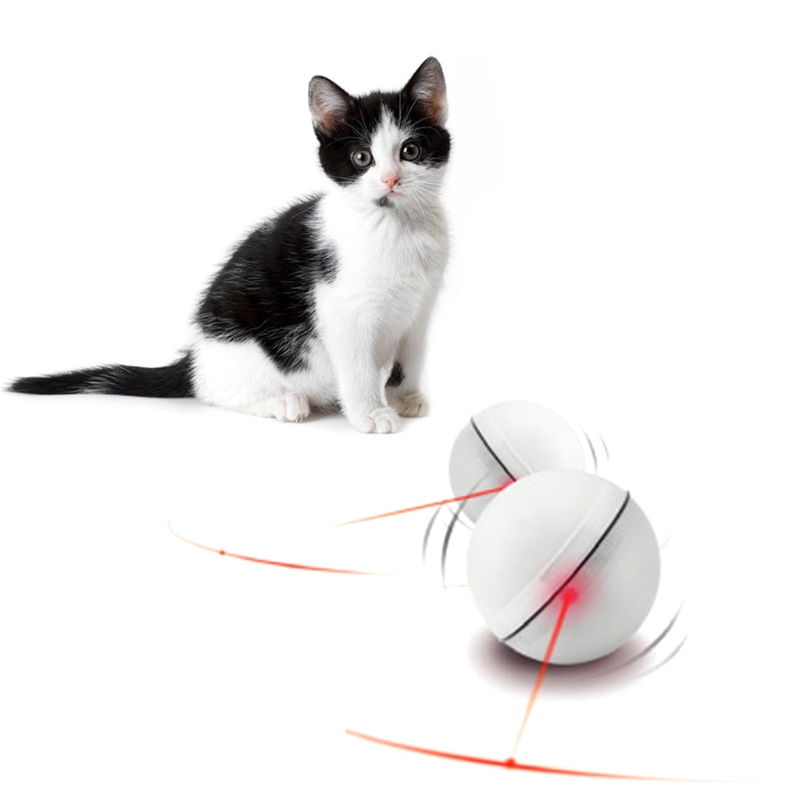 Rolig hund katt led ljus magisk boll teaser övning interaktiv automatisk leksak