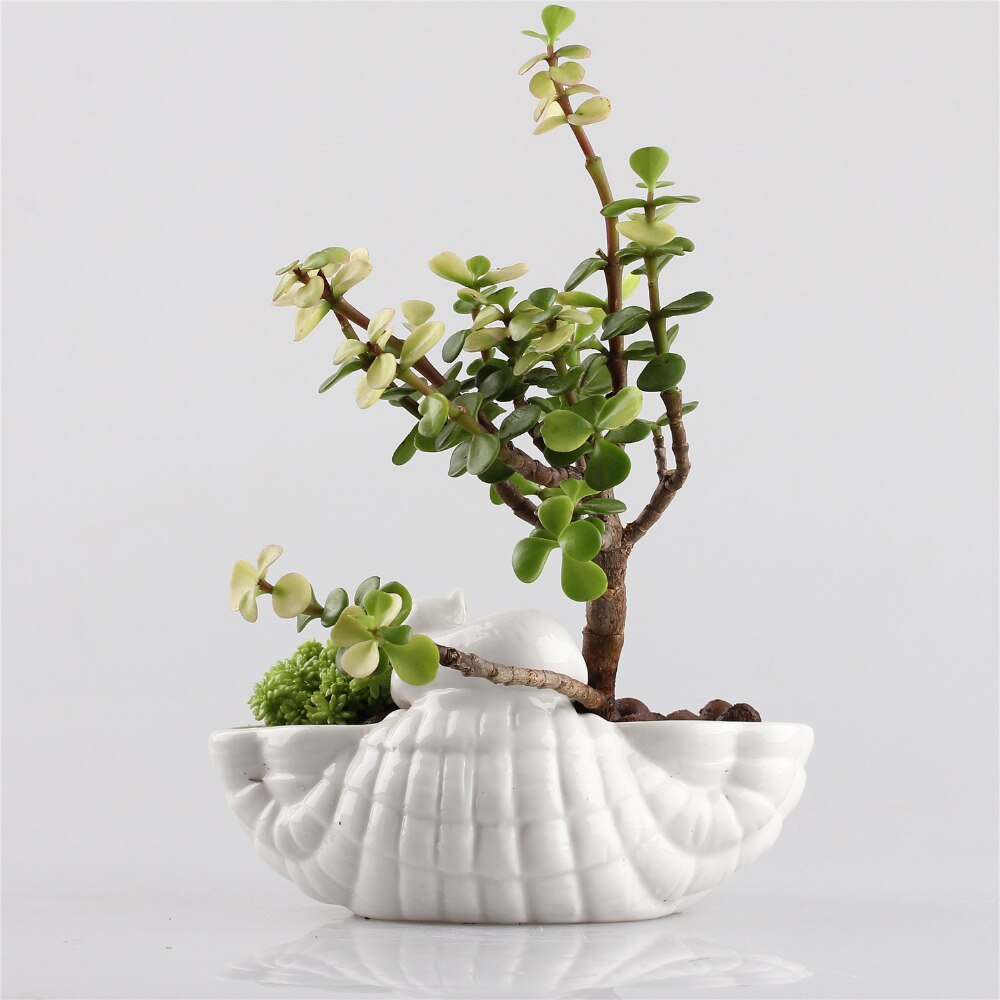 Leuke Katten Kitten Keramische Bloempot Bonsai Aardewerk Plantenbakken Bloembakken Tuin Porselein Jardin Succulent Decor Macetas
