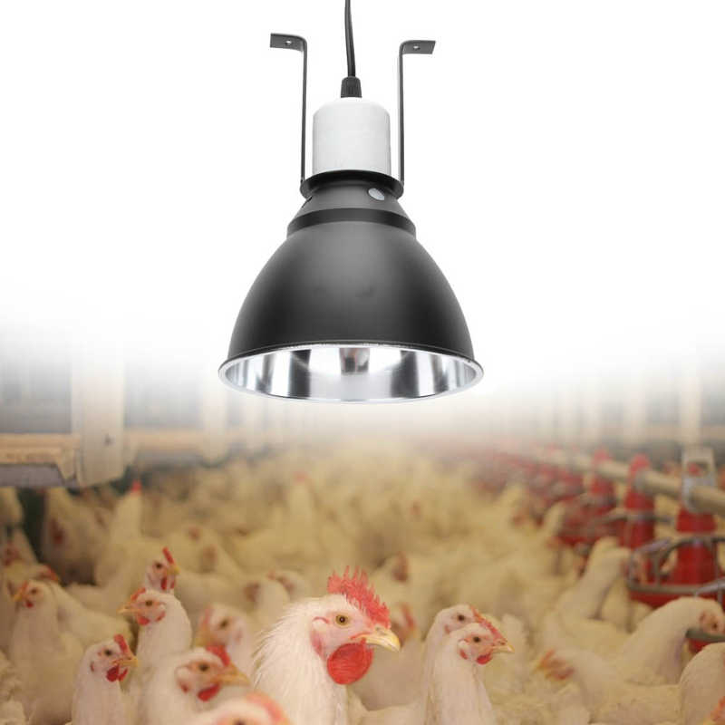 Lamp Lizard Snake Heat Calcium Bulb Light Reptile Light Bulb Reptile Heat Bulb Metal Lampshade Stainless Steel with