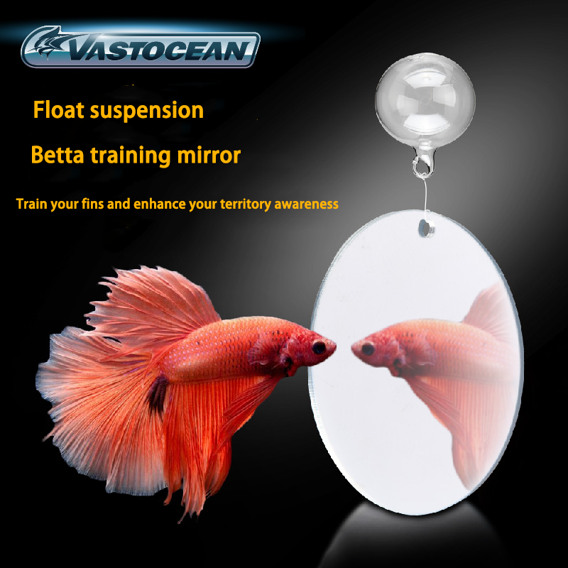Vastocean Betta Training Mirror Fish Tank Exercise Anti-depression Betta Fish Special Fitness Mirror for Live Fish