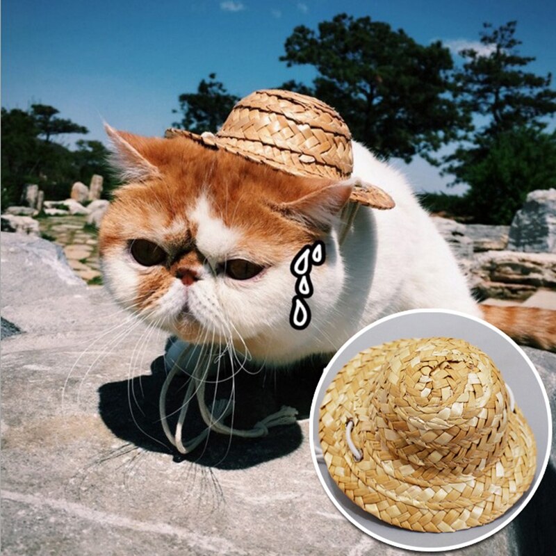 Morsom hund gevir lue kjæledyr forsyninger valp katt lue hjort luer bamser gevir raser bonde caps jul lue kjæledyr kostyme