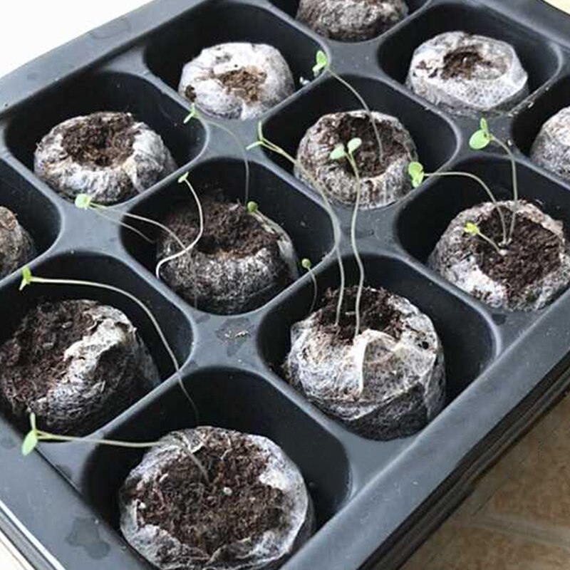 Seed Trays Seedling Gardening Germination Tray Plant Grow Kit for Seeds Growing Starting