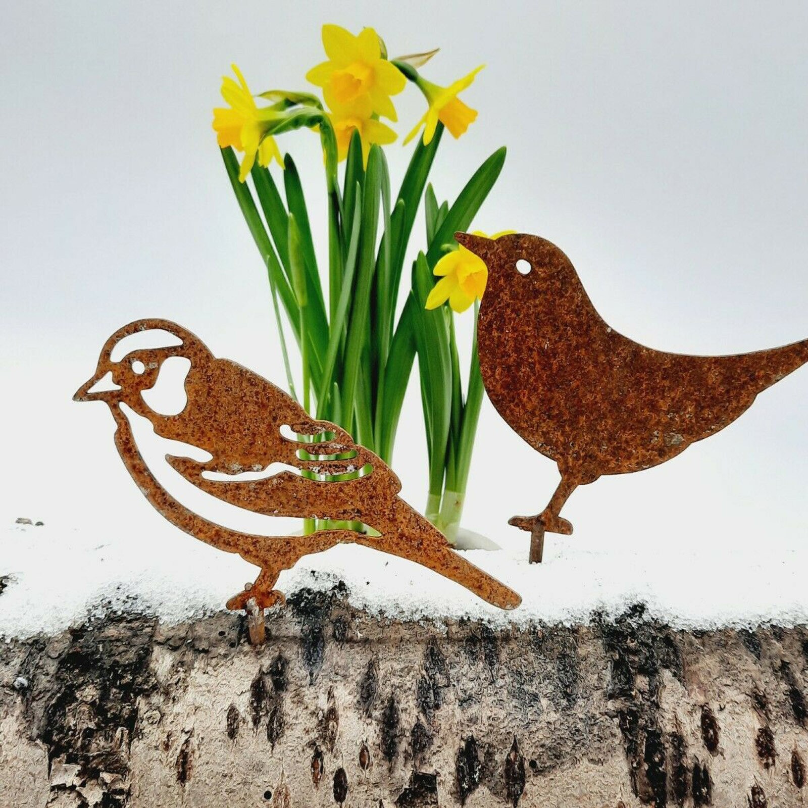 Miniterrario en miniatura de pájaro oxidado para jardín, adornos metálicos artesanales, decoración de jardín, gorriones, Robin